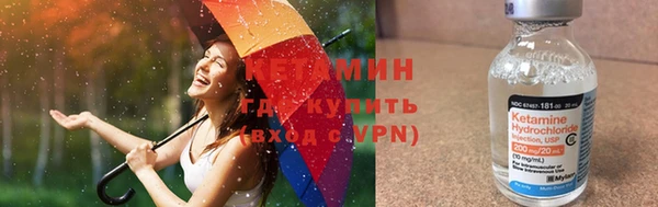 прущие грибы Арсеньев