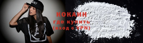 прущие грибы Арсеньев